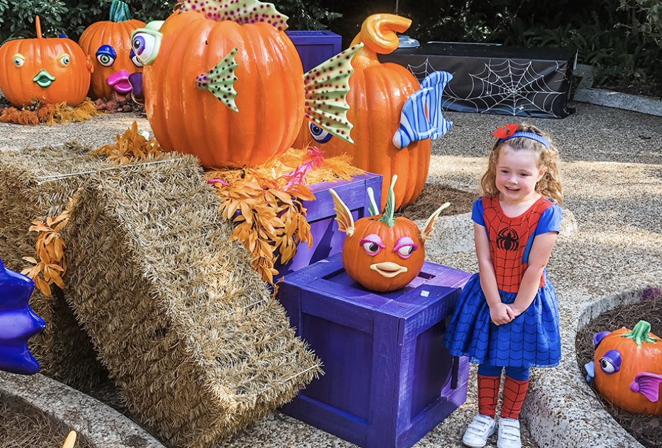 SeaWorld’s Spooktacular runs through Nov. 3 with fun surprises, candy, costumes, and more.  Photo by the author