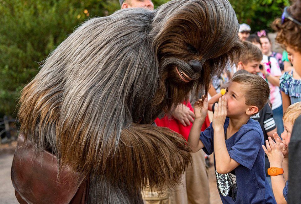  For an unforgettable May head to the 4th celebration of Star Wars: Galaxy's Edge at Hollywood Studios, which, although not formally announced, is known to host special activities in celebration of Star Wars Day.. Photo courtesy of WDW
