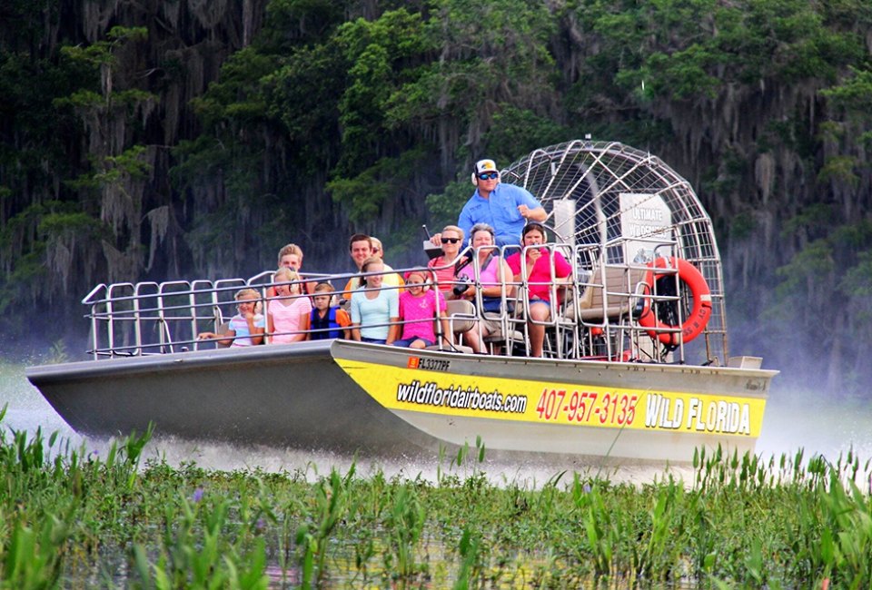 Wild Florida airboat rides allow passengers close-up experiences with Florida's native wildlife and vegetation. Photo courtesy Wild Florida