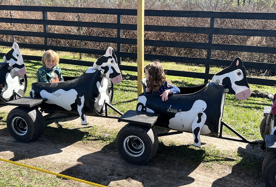 blueberries and enjoy farm fun at Amber Brooke Farms Orlando