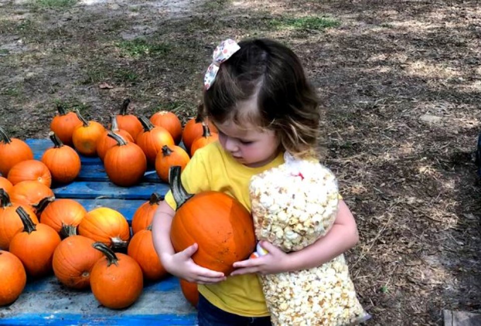 Get some fall treats along with pumpkins at Santa's Farm. Photo by the author