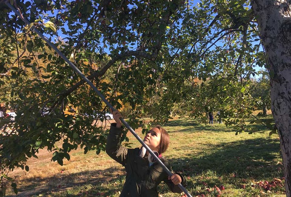 Take a trip up to Outhouse Orchards in scenic North Salem to take a hayride, pick apples or to get lost in a corn maze. Photo by Sara Marentette