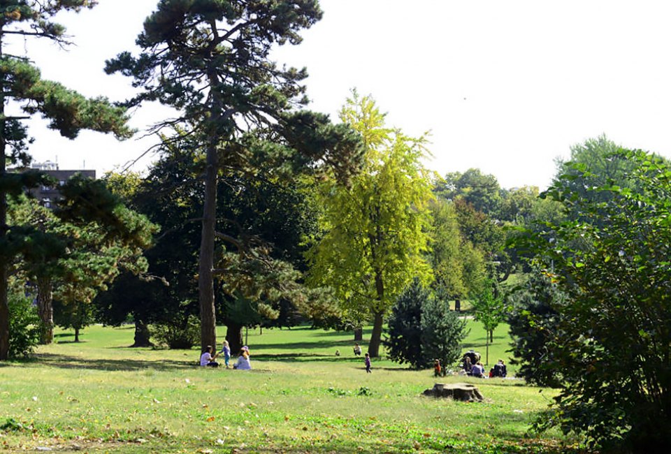 Grab a picnic and head to Owl's Head Park for the lush green grass!  Photo courtesy of NYC Parks