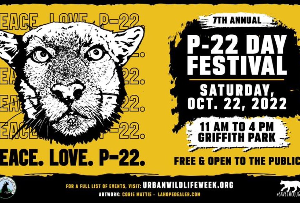 P-22 Day Festival