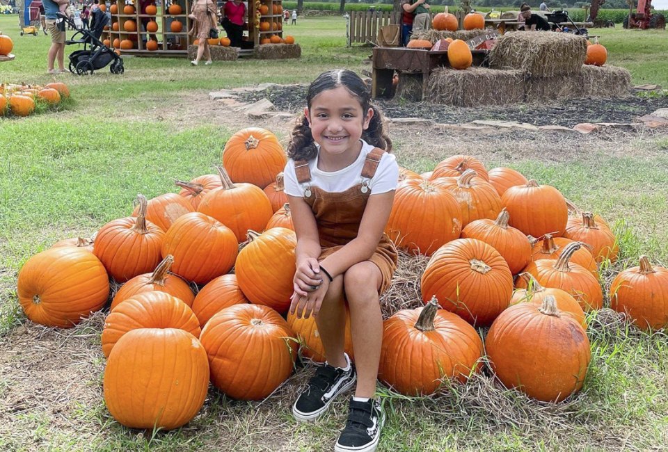 There are plenty of choices for pumpkin patches near Houston. Photo courtesy of P6 Farms