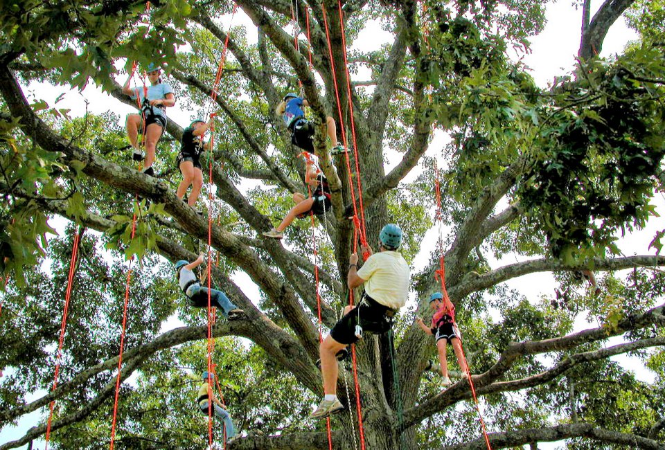 Learn some climbing skills in a Tree Climbing Class at Panola Mountain State Park. Photo courtesy of the park