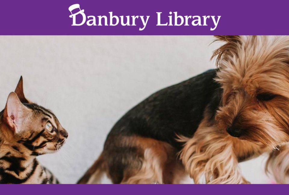 Pet Boredom Busters-Entertaining Your Pets at Danbury Library