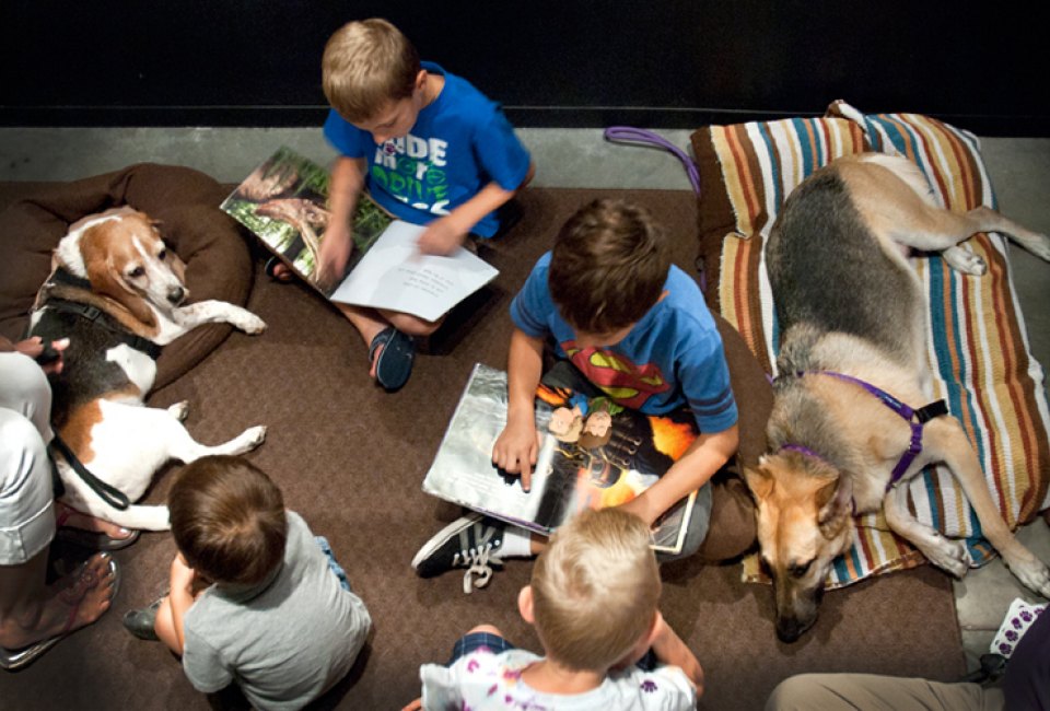 Practice reading with furry friends during the P.A.W.S. Reading Program./Photo courtesy of the Houston Museum of Natural Science.