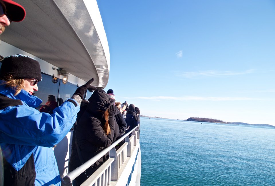 Enjoy fresh air and animal sightings at Peddocks Island winter wildlife cruise. Photo courtesy of Boston Harbor Islands