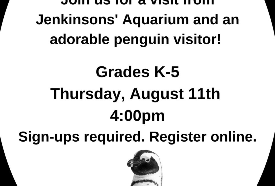 A Penguin Visits the Library