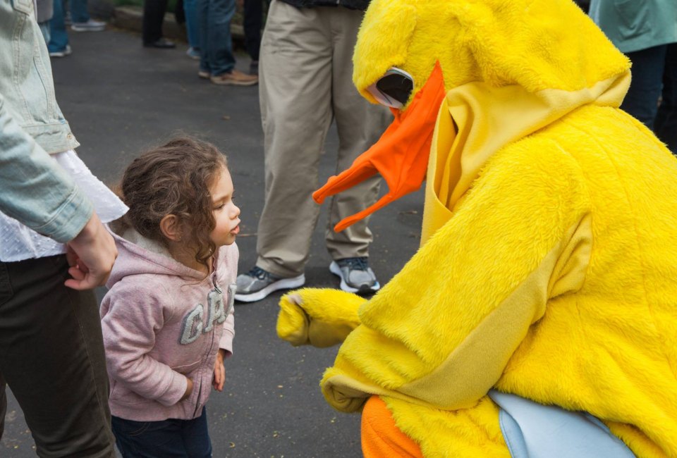 Race some little ducks...and meet some big ones! Photo courtesy of Pequabuck River Duck Race