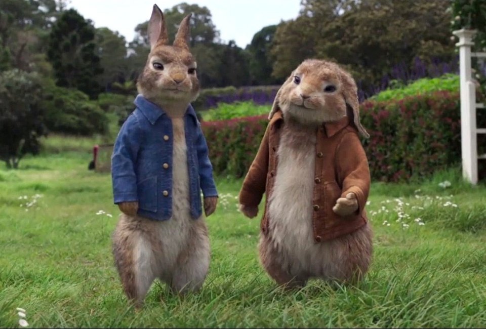 Peter Rabbit 2 - The Runaway. Photo courtesy of Sony Pictures