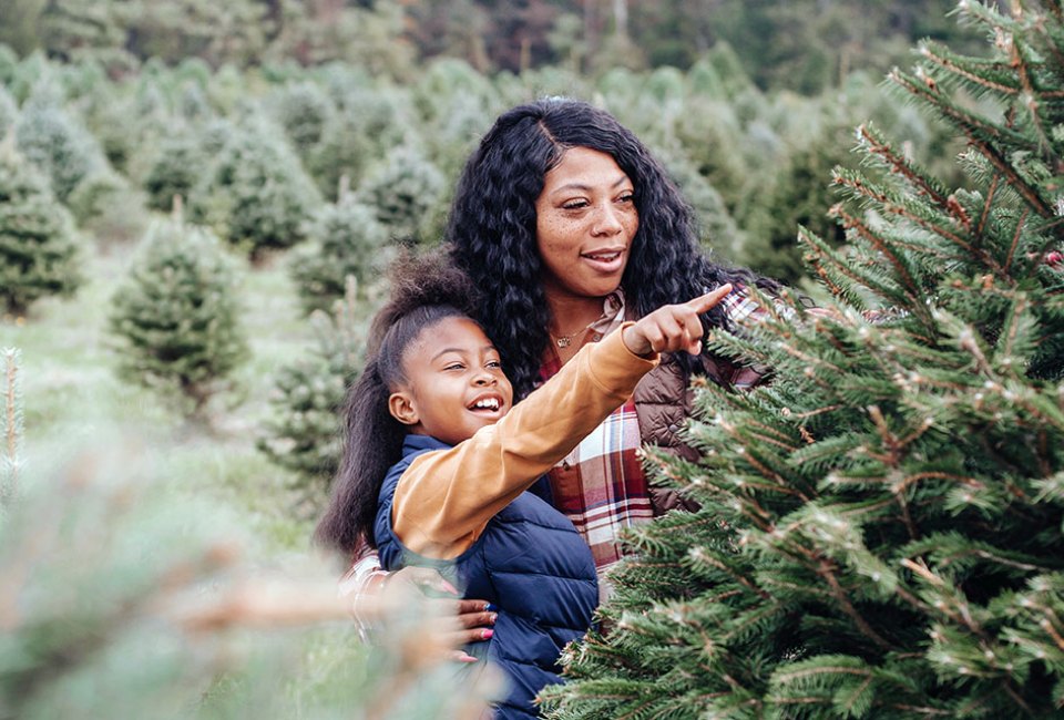 Is it better to chop down a living tree, or reuse a hunk of plastic? We investigated. Photo by Any Lane via Pexels