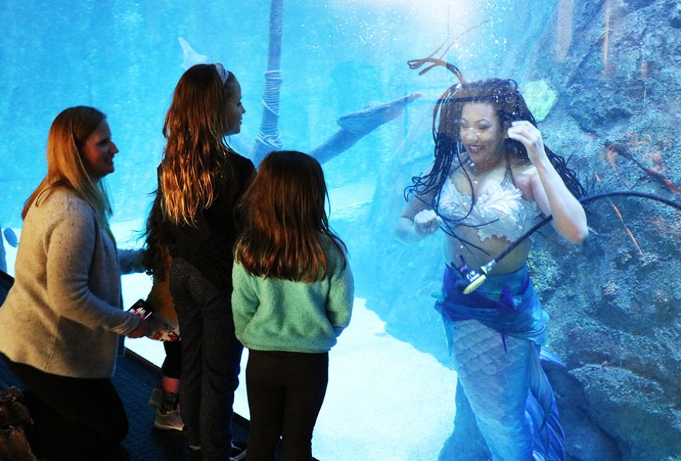 Ocean enthusiasts are encouraged to bring their imaginations to life and embrace the magic of the mer-world at Adventure Aquarium. Photo by Devon K.