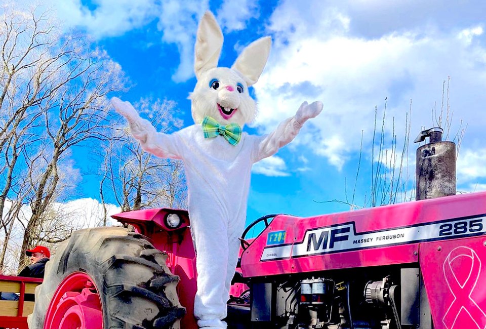 Hayrides to Bunnyland run all day. and remember to pickup your handmade Easter treats at Linvilla Orchards. Photo courtesy of the orchard