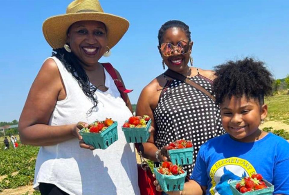 Get farm fresh strawberries at the Strawberry Festival at Shady Brook Farms. Photo courtesy of the farm 