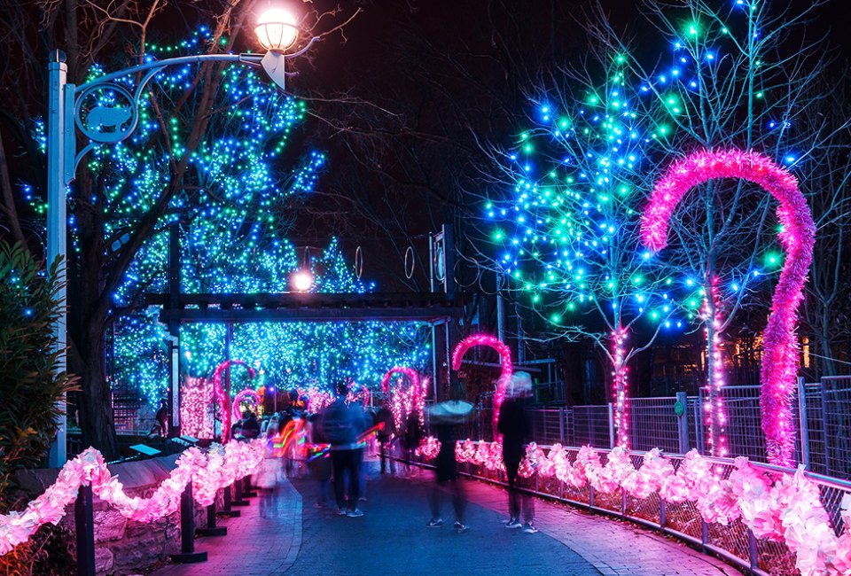 The zoo lights are aglow at LumiNature. Photo courtesy of the Philadelphia Zoo