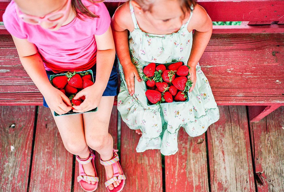 At Johnson's Corner Farm, it's all about the berries. 