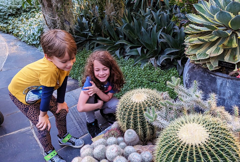 Experience the world of Longwood Gardens… a place to see dazzling displays that elevate the art of horticulture. Photo by Cait Sumner