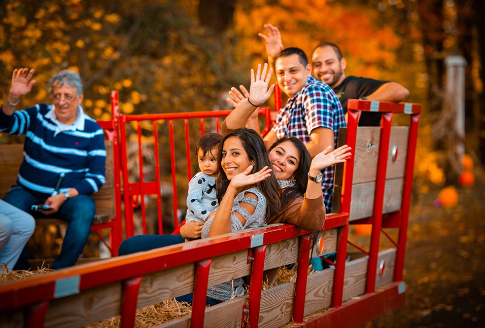 Have you ever visited a witch's house? Families can take a hayride to see Linvilla Orchard's friendly witch. Photo courtesy of Linvilla Orchard's