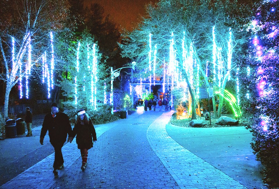 See more than a million lights on Christmas Day at LumiNature t the Philly Zoo. Photo by Georgi Anastasov. 
