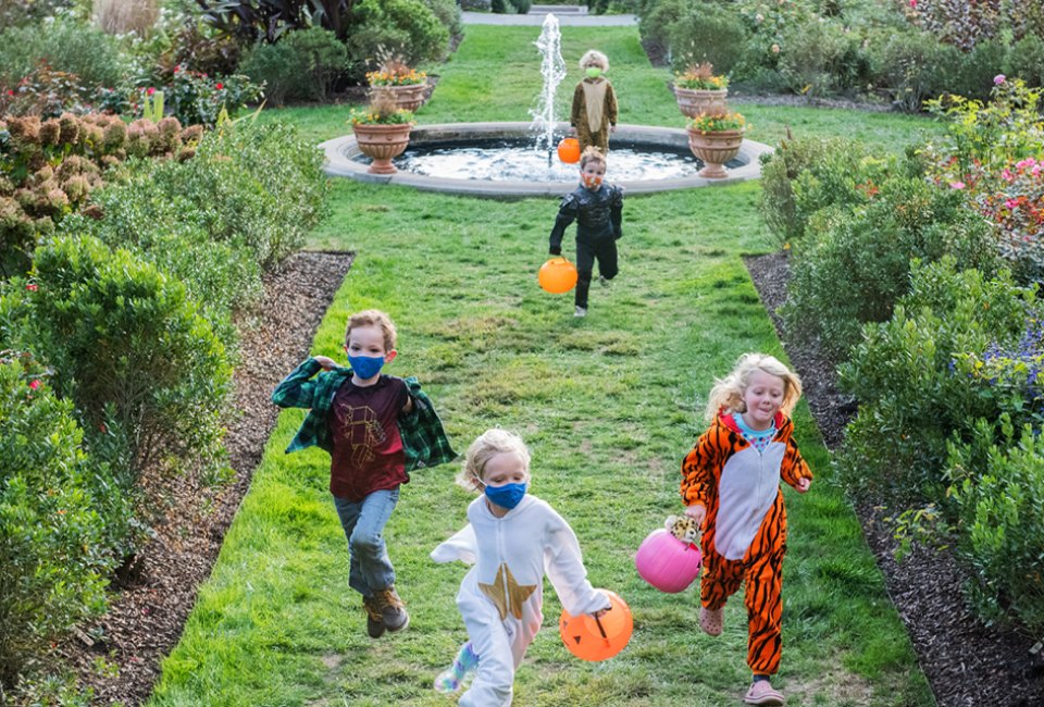 Come in costume to the Morris ArBOOretum and explore the Spooky Scarecrow loop while trick-or-treating. Photo courtesy of the Arboretum