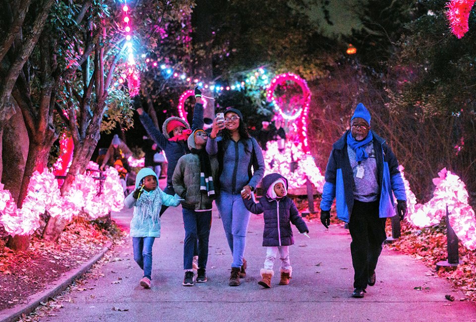 Over a million lights illuminate the Philadelphia Zoo with LumiNature as it transforms into a sparkling winter wonderland.  Photo by Georgi Anastasov