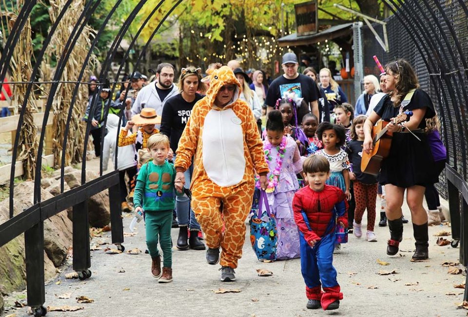 A costume parade, treats, animal meet-and-greets, and much more are in store for trick-or-treaters Boo at the Zoo at Elmwood Zoo. Photo courtesy of the zoo. 