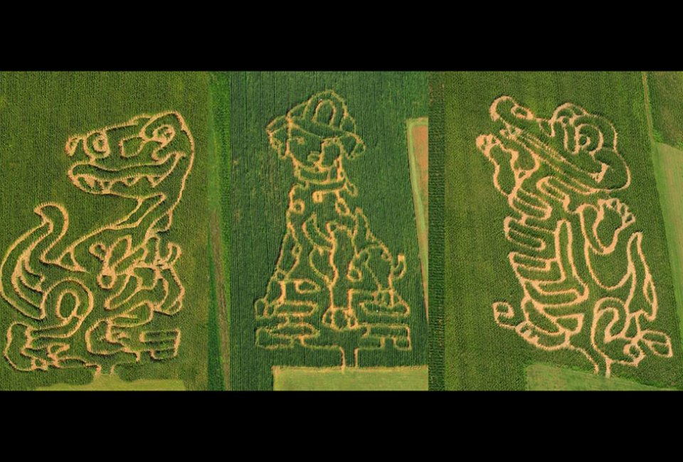 Wilcox Family Farm kid's corn mazes