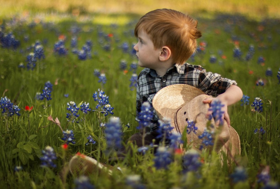 A field of bluebonnets near Houston. Photo by Phineas Adams, courtesy of Unsplash