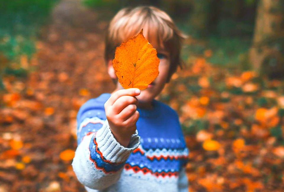 Boston kids have some exciting things to do that are Free in November, like Free Entrance Days in the National Parks on November 11th! Photo by Annie Spratt, courtesy of Unsplash