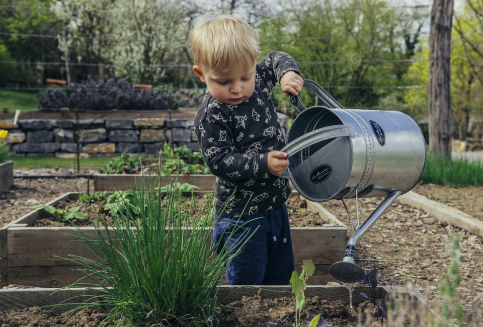 How does your garden grow? Photo by Filip Urban, Unsplash