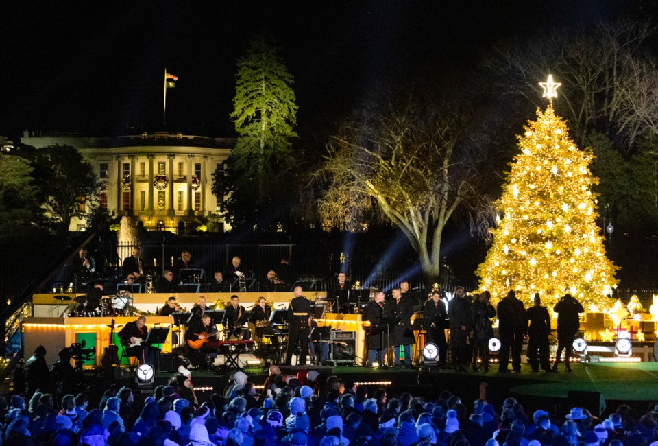 The National Christmas Tree lights up the Ellipse every evening through New Year's Day. Photo by Kelsey Graczyk, courtesy of the National Park Service
