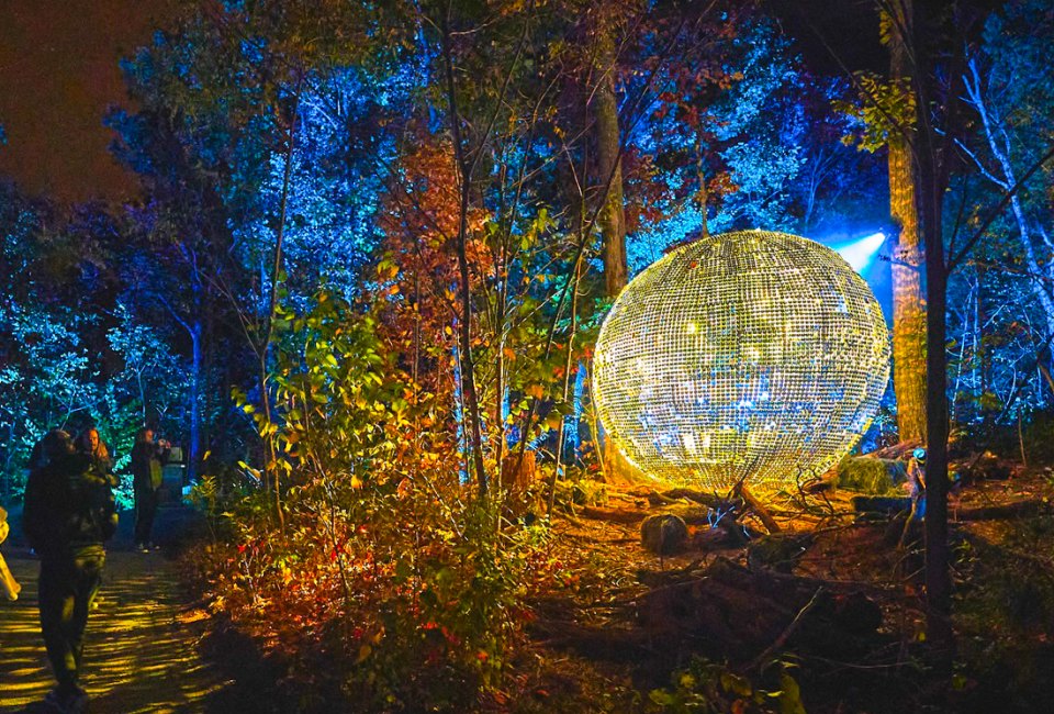 Go on a walk through the gorgeously lit gardens at Astra Lumina. Photo courtesy of Astra Lumina