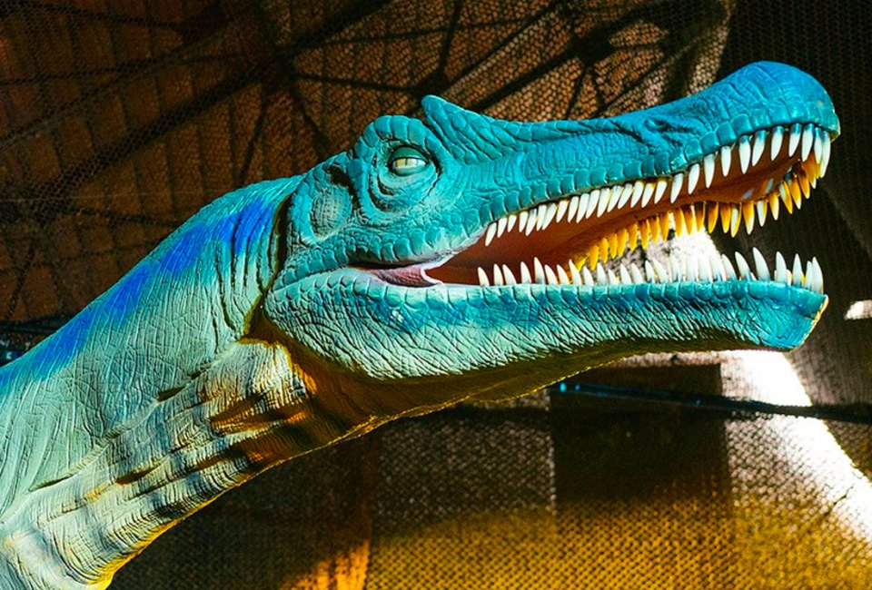 Dinos Alive: Immersive Exhibit