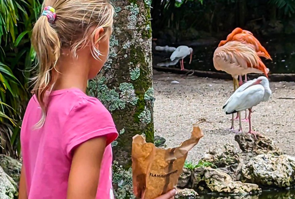 Celebrate Labor Day Weekend at Flamingo Gardens' holiday event. Photo courtesy of the garden