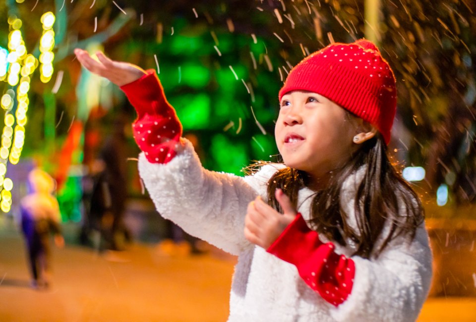 See the snowfall on New Year's Eve! Photo courtesy of Gilroy Gardens 