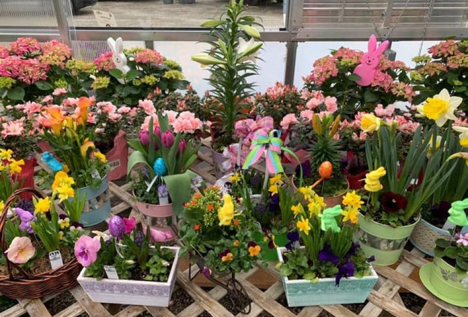 Admire the blooms around Connecticut this April. SpringFest photo courtesy of Meadowbrook Gardens