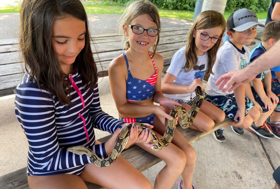 Go wild (budget-friendly wild) with the top free and affordable summer camps in Connecticut for 2024! Mixville Adventure Camp photo courtesy of Chesire Parks and Recreation