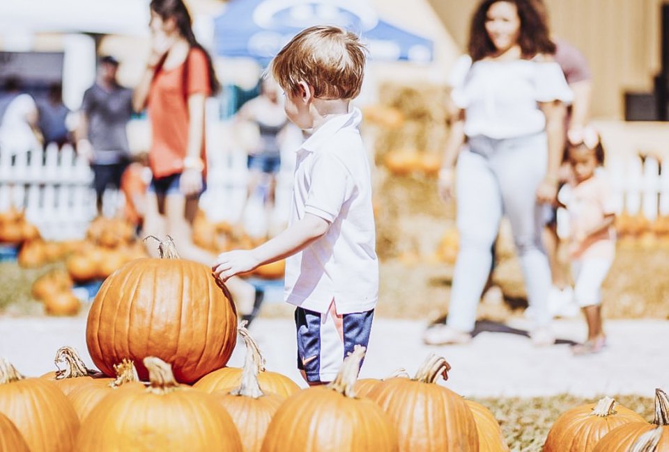 Find a plump pumpkin as the ultimate fall accessory at the Boca Pumpkin Patch Festival. Photo courtesy of the festival