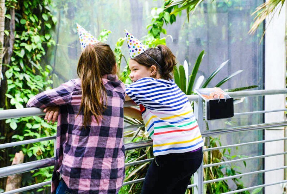 ​A birthday in an environment the kids will never forget. Photo courtesy of the California Academy of Arts and Sciences