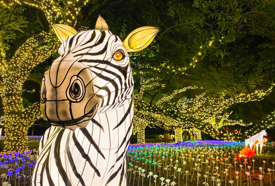 Zoo Lights in Houston. Photo courtesy of the Houston Zoo