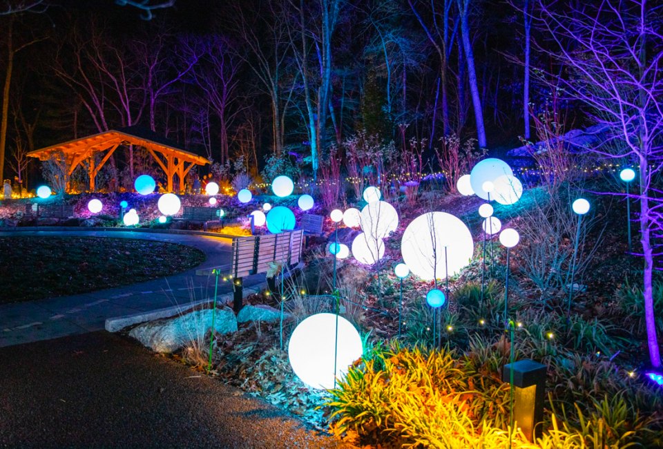 Holiday lights are shining extra brightly this Thanksgiving Weekend 2023 in Boston. Photo courtesy of the New England Botanic Garden at Tower Hill