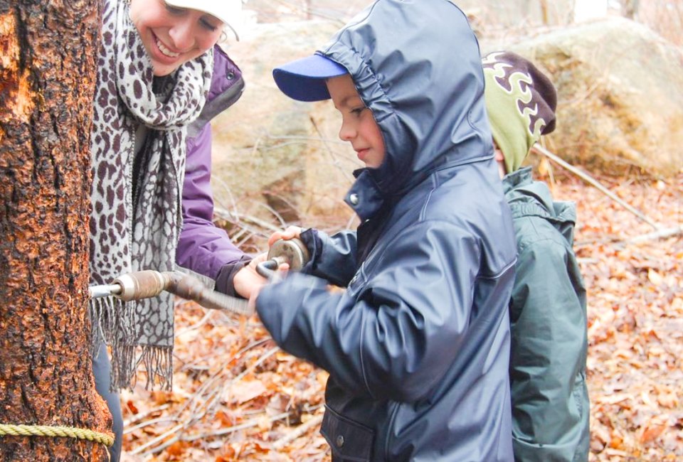 February means it's time to go maple sugaring with Connecticut kids, where tree-tapping yields a sweet reward! Photo courtesy of the Stamford Nature Center