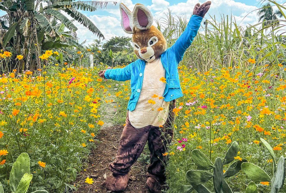 Enjoy springtime fun with the Easter Bunny at Tinez Farms. Photo courtesy of Tinez Farms