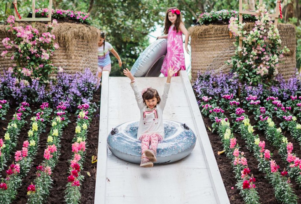 Enjoy the colorful blooms of spring at Tinez Farms through April 9, 2023. Photo courtesy of Tinez Farms