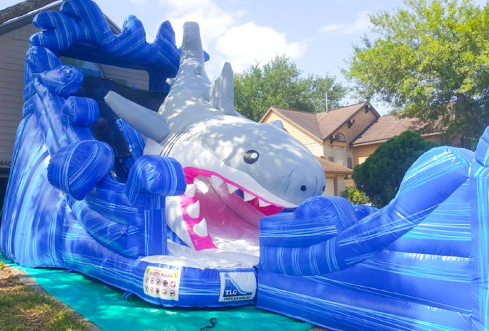 Birthday party rentals in Houston: TLG Inflatables
