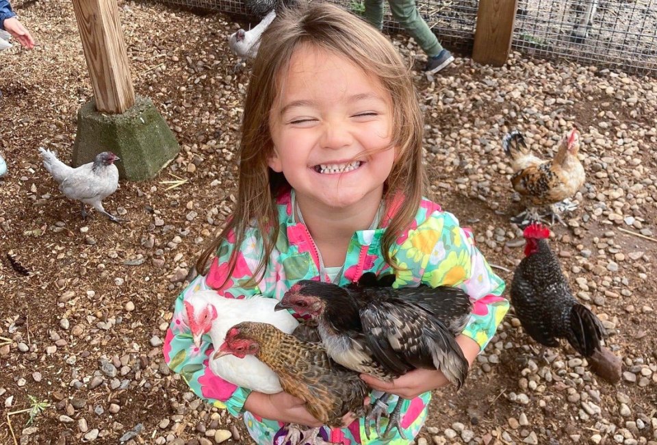 Find feathered friends and encounter animals up close at petting zoos in Connecticut. Photo courtesy of Westmoor Park