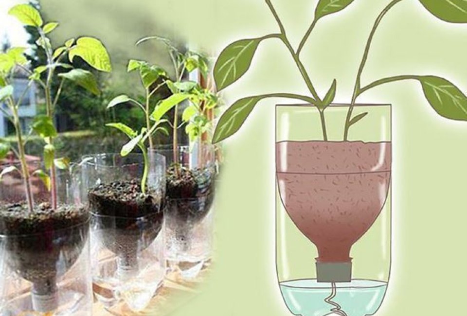 Hydroponics at Hudson Park Children's Greenhouse