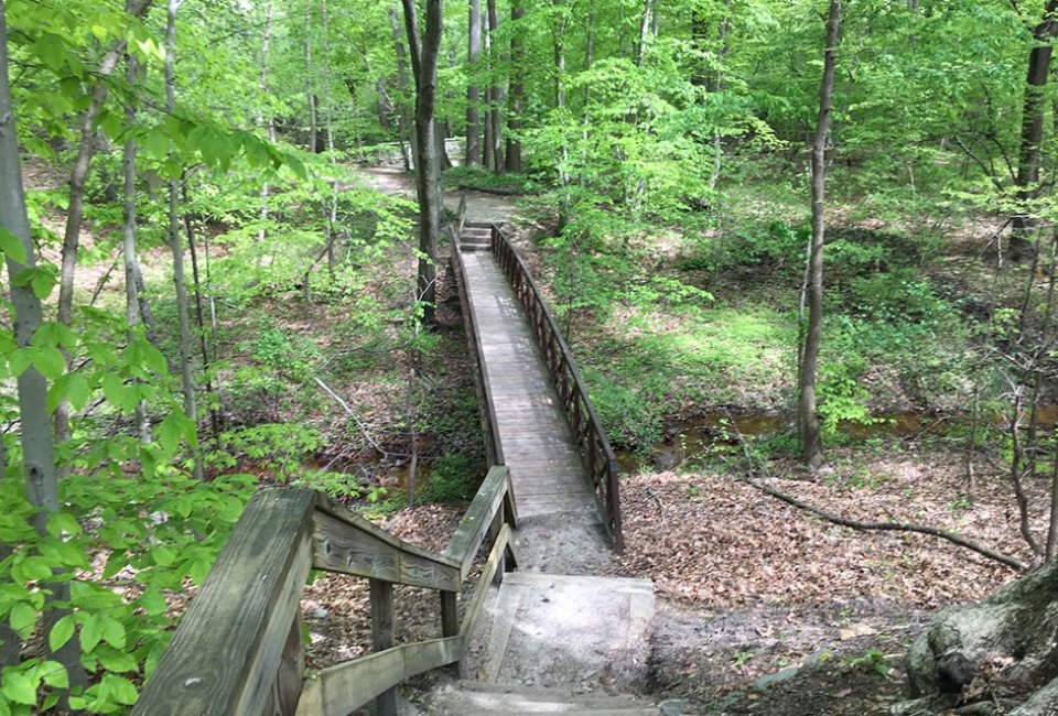 Stretching out over seven counties and across 1.1 million acres, New Jersey's Pine Barrens offer plenty of enclaves to explore.